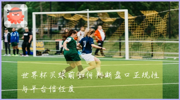 世界杯买球前如何判断盘口正规性与平台信任度