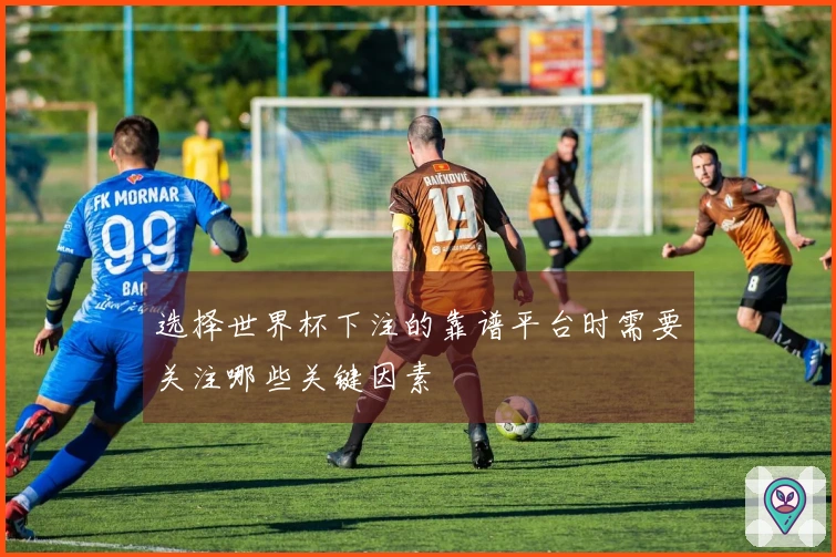 选择世界杯下注的靠谱平台时需要关注哪些关键因素