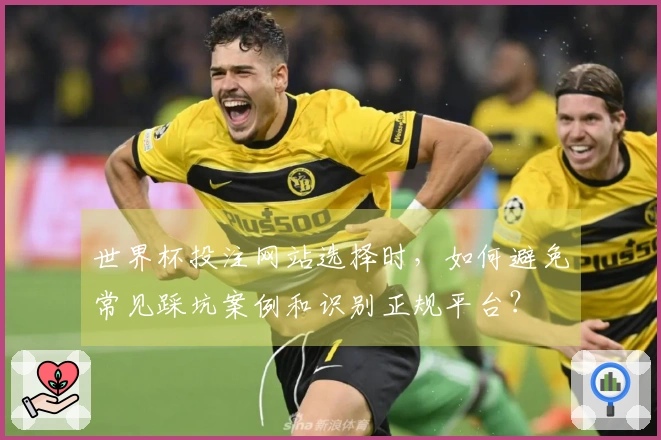 世界杯投注网站选择时，如何避免常见踩坑案例和识别正规平台？