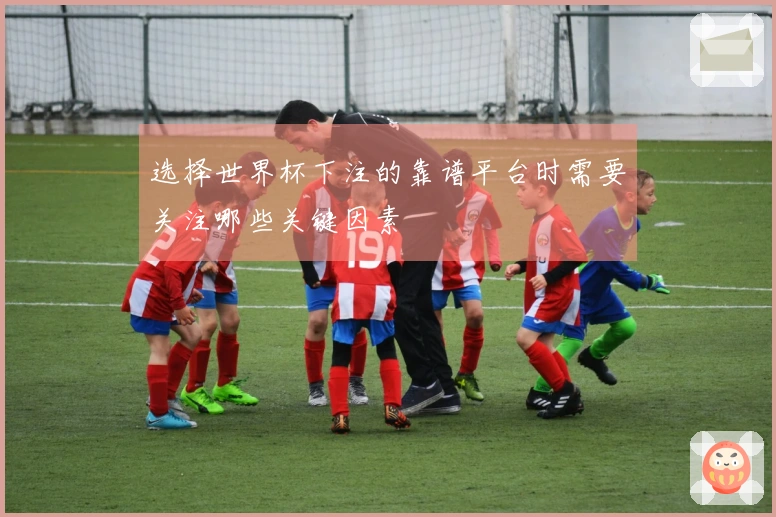 选择世界杯下注的靠谱平台时需要关注哪些关键因素